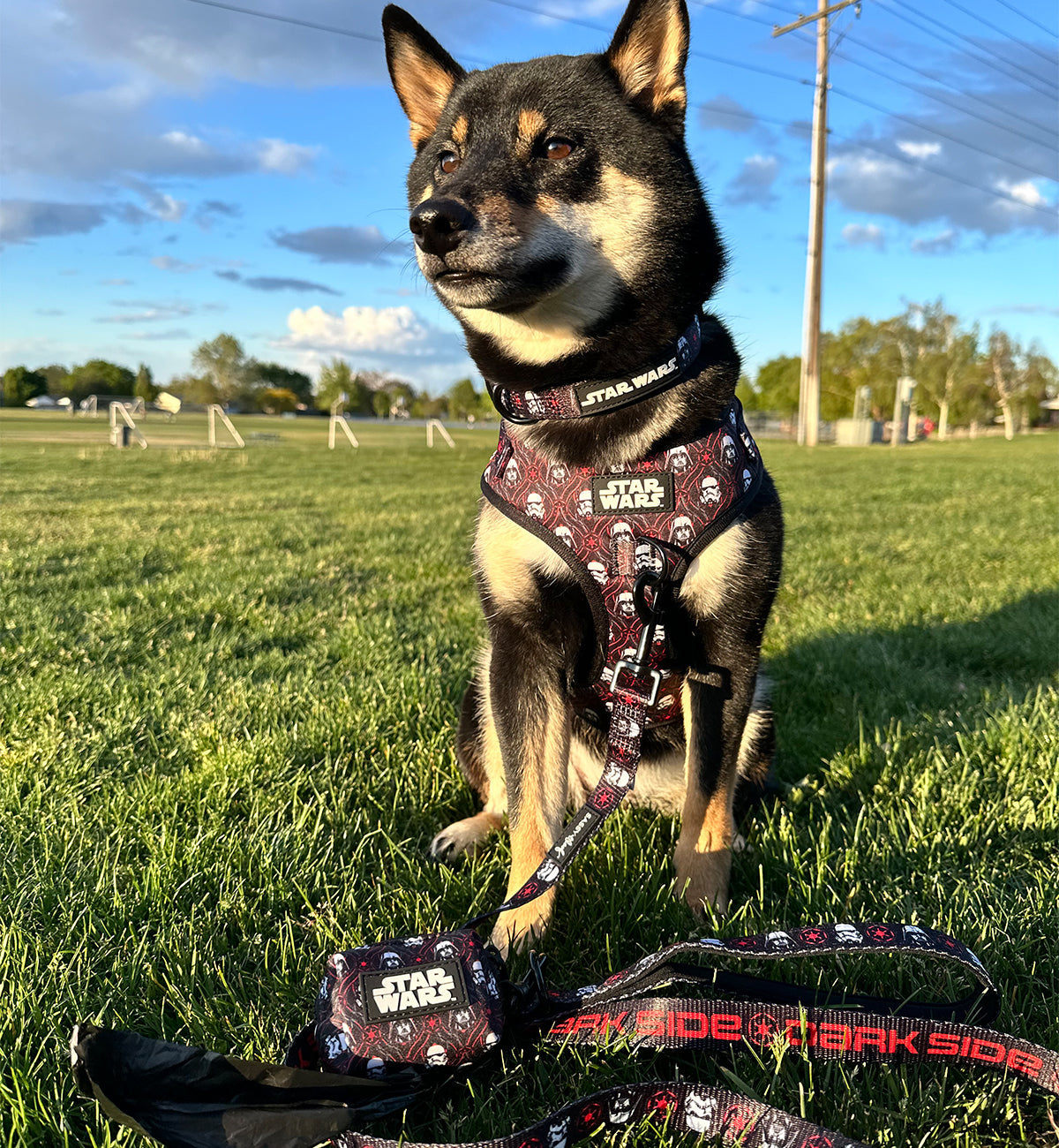 Dog Leash - STAR WARS™ The Dark Side