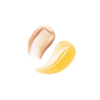Harry Potter Holiday | Gryffindor™ Slytherin™ Hufflepuff™ Raven Claw™ Lip Duo Set