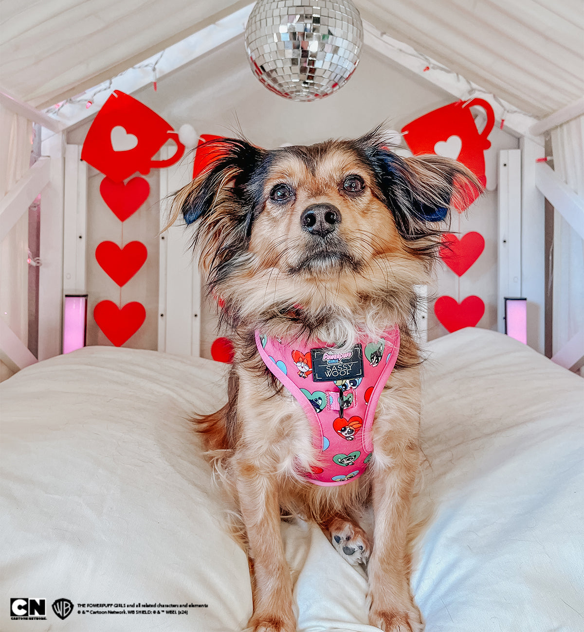 Dog Collar - The Powerpuff Girls™ (Love)
