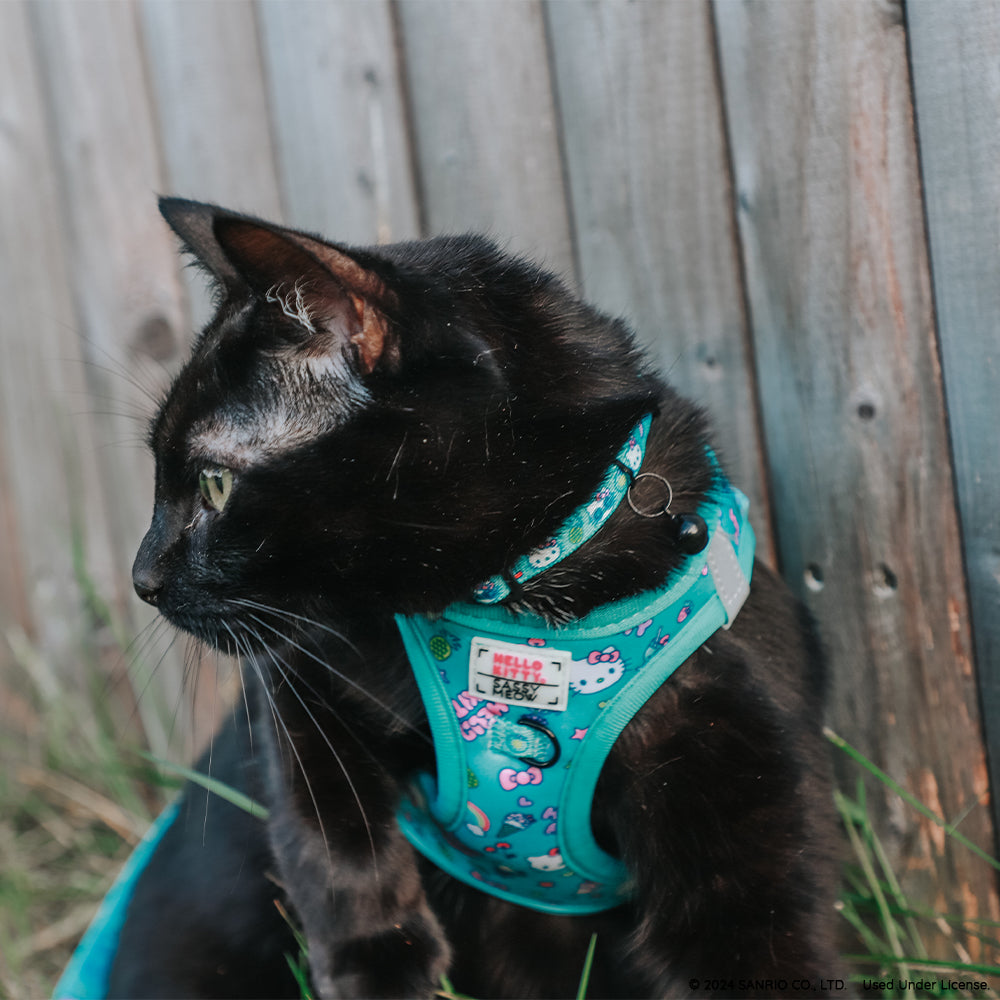Cat Collar - Hello Kitty® Aqua