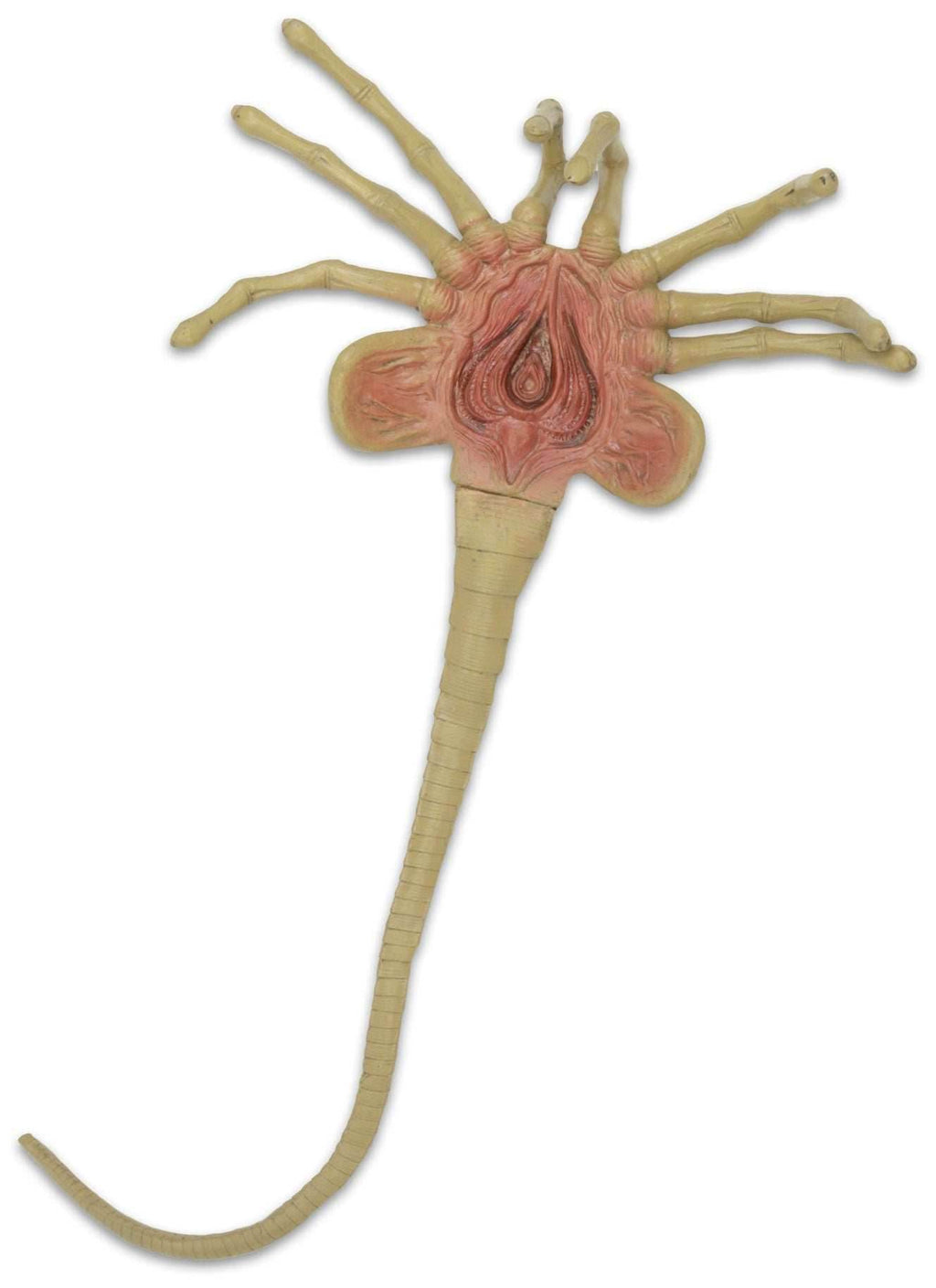 Alien: Facehugger Life Size Foam Replica - 