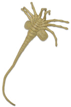 Alien: Facehugger Life Size Foam Replica - 