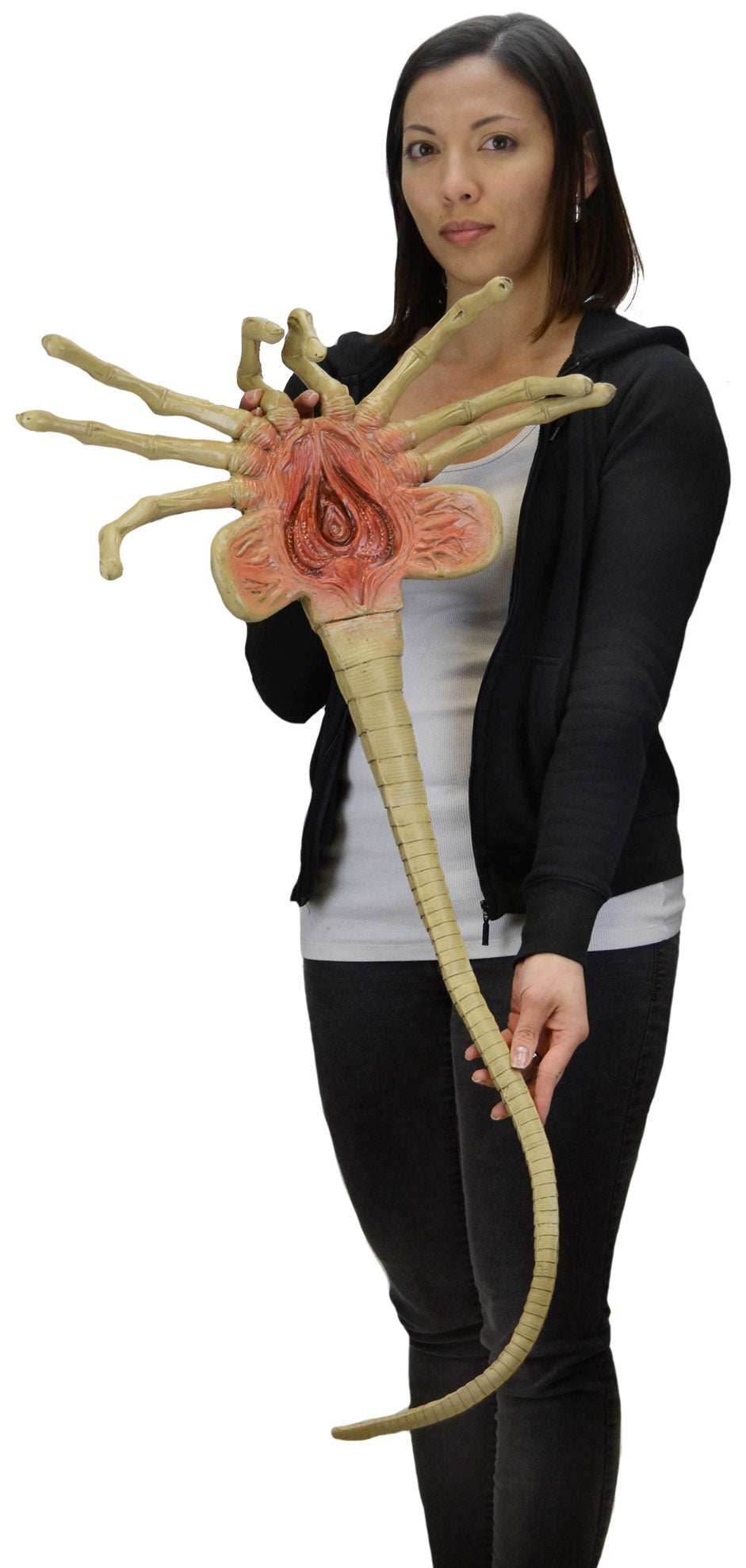 Alien: Facehugger Life Size Foam Replica - 