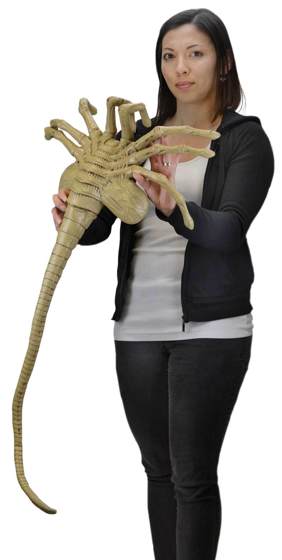 Alien: Facehugger Life Size Foam Replica - 