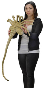 Alien: Facehugger Life Size Foam Replica - 