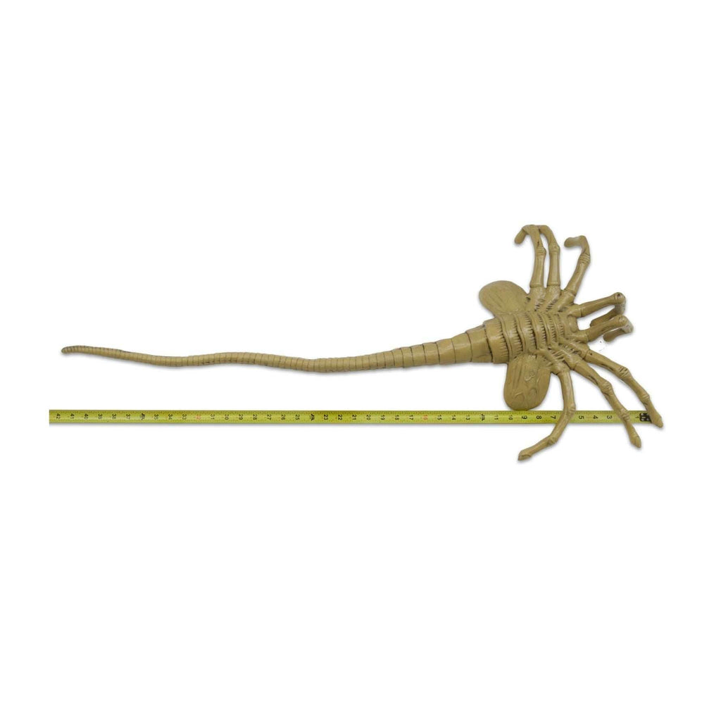 Alien: Facehugger Life Size Foam Replica - 