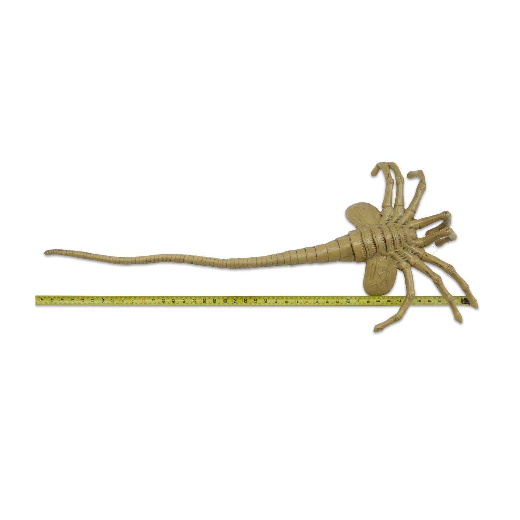 Alien: Facehugger Life Size Foam Replica - 