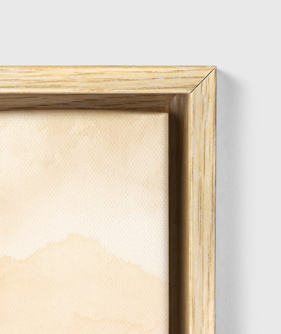 Bespin Cloud City Star Wars Framed Canvas Art