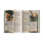 Ravenhome Slipcase Set - Legend in the Mist