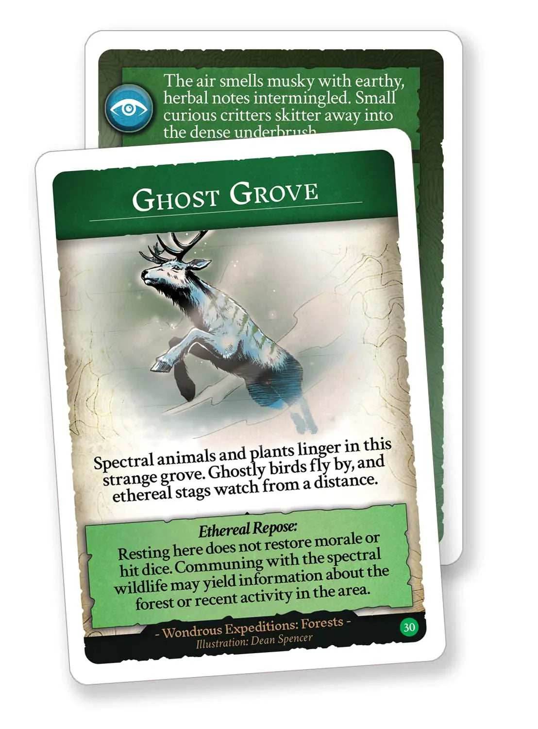 Wondrous Expeditions - Forests Card Deck - 