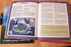 No Thank You, Evil! RPG: A Family-Friendly Adventure in the World of Storia - 