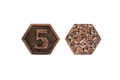 Fantasy Coins - Dungeon Floor 5 Value - 