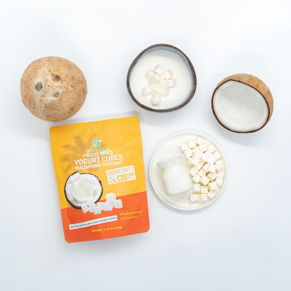 Freeze-Dried Yogurt Cubes - Macapuno Coconut