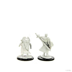 Pathfinder Battles: Deep Cuts - Human Champion Male - 