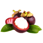 Freeze-Dried Mangosteen (Ship by Jan 15th or sooner)