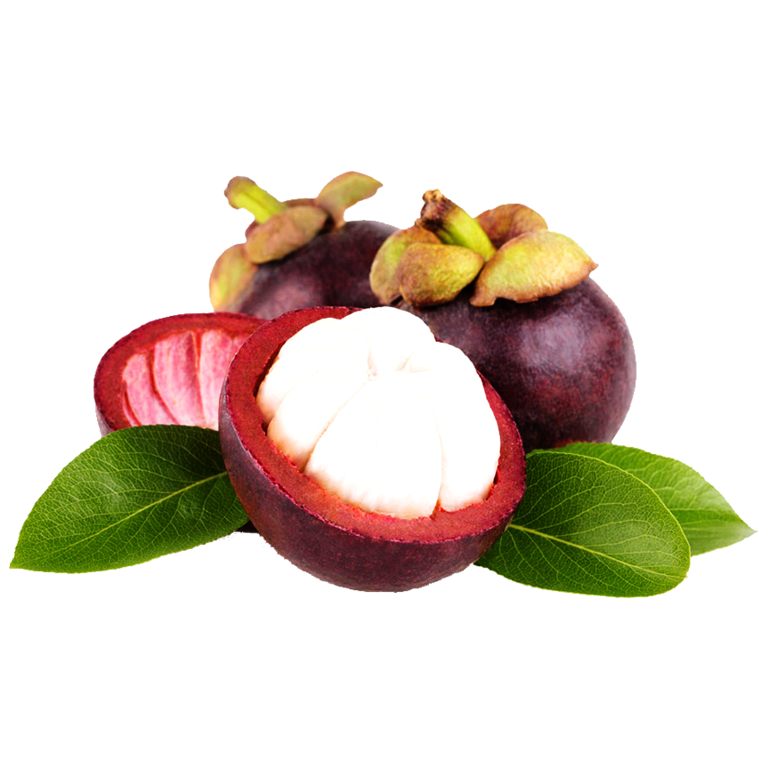 Freeze-Dried Mangosteen (Ship by Jan 15th or sooner)