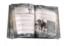 Black Void: Core Book - 