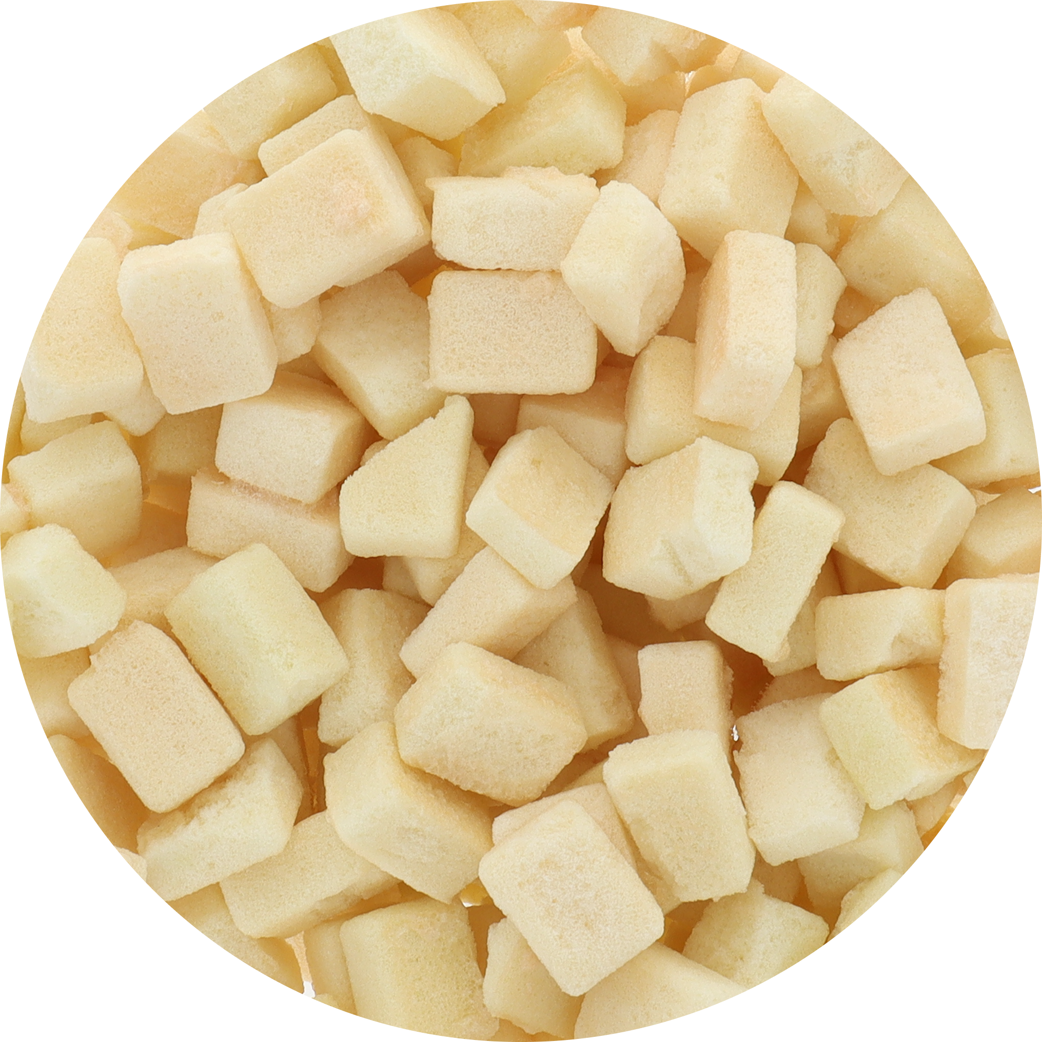 Freeze Dried Golden Honeydew Melon