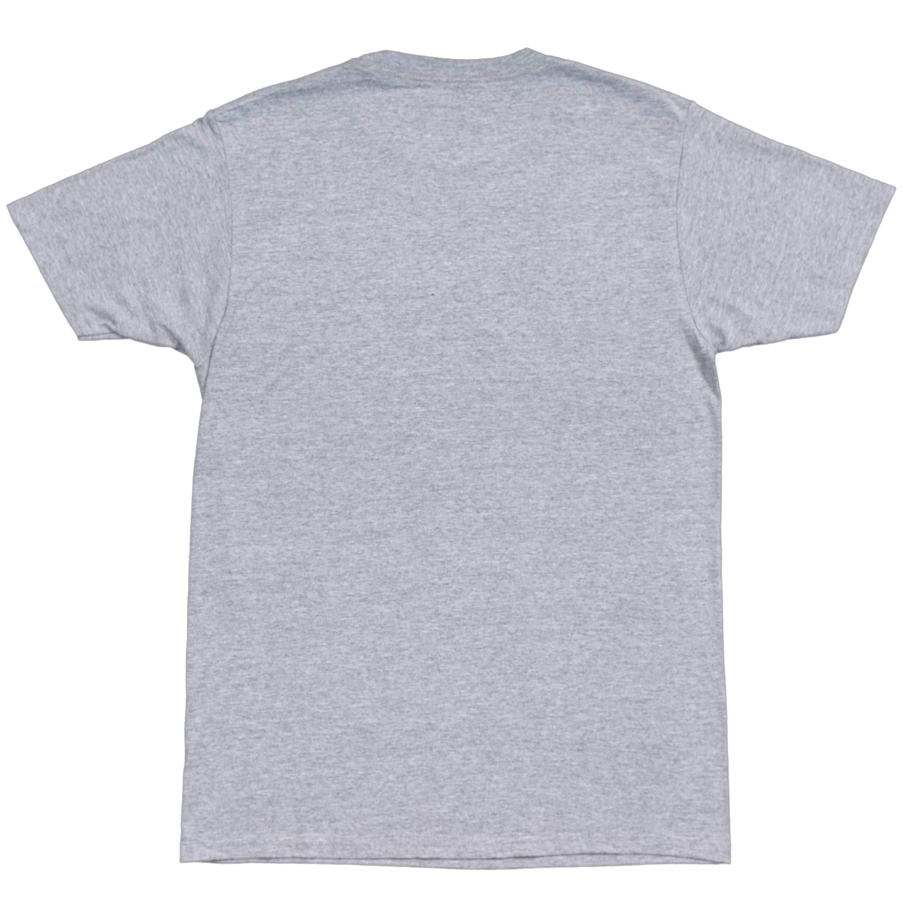 NASA Logo Men's Officially Licensed Short Sleeve Gray T-Shirt - S