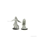 D&D: Nolzur's Marvelous Miniatures - Night Hag & Dusk Hag - 