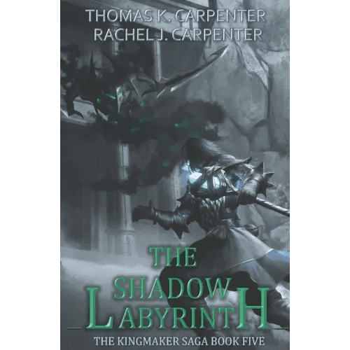 The Shadow Labyrinth: A LitRPG Adventure - Paperback - 