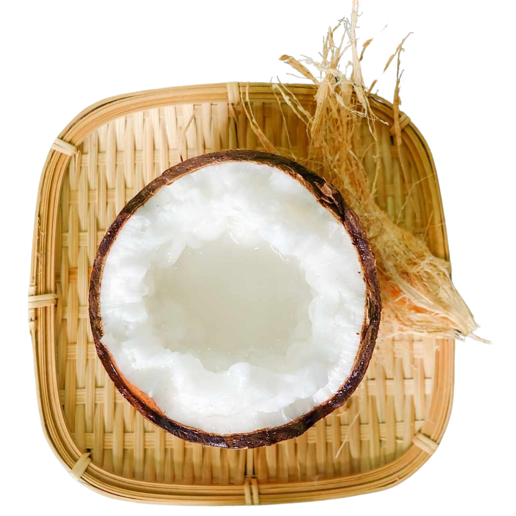 Freeze-Dried Macapuno Coconut Chips