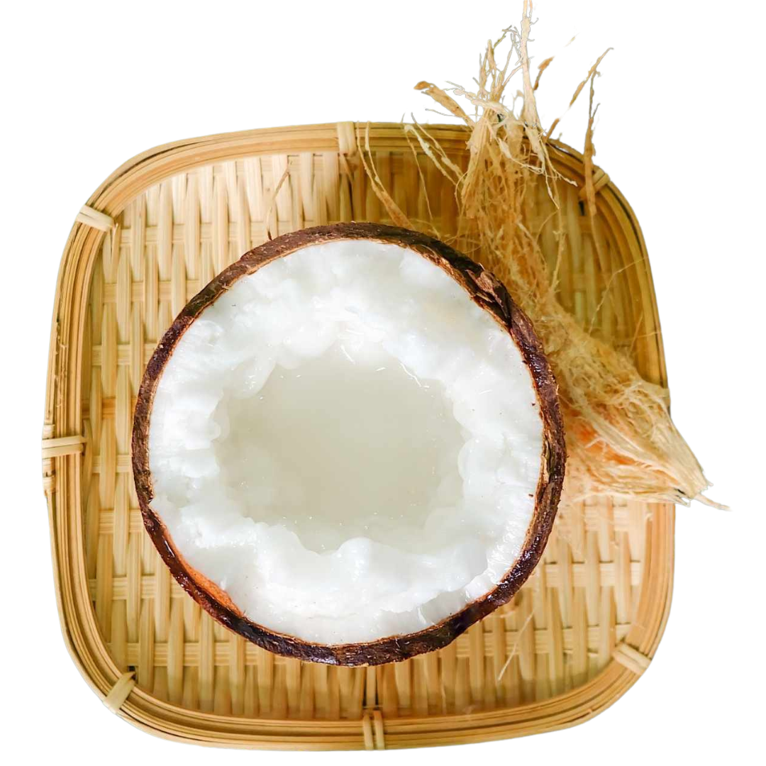 Freeze-Dried Macapuno Coconut Chips