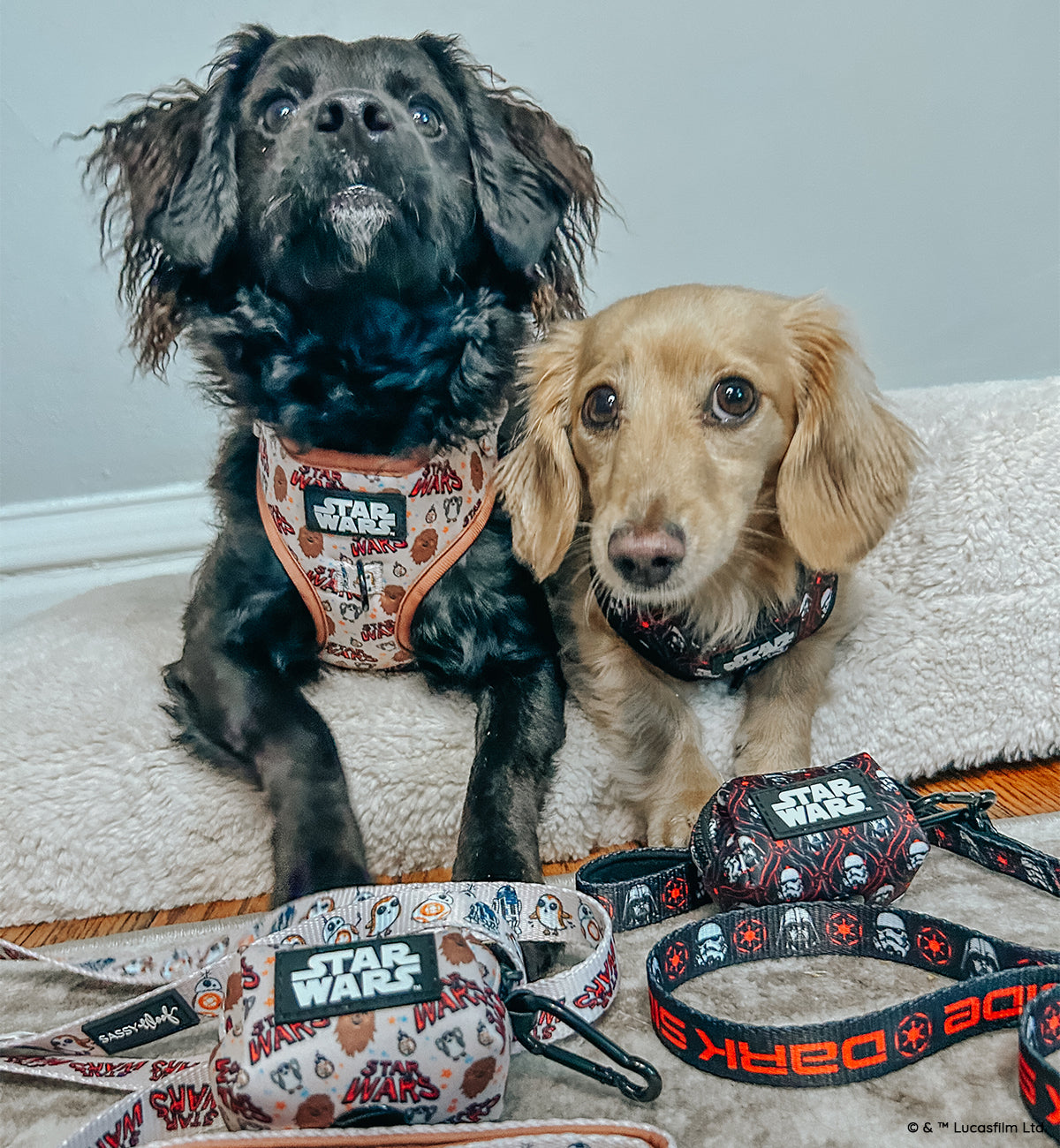 Dog Adjustable Harness - STAR WARS™ The Rebel Alliance