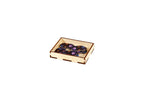 Lost Ruins of Arnak Storage Organizer - 