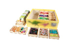 Dinosaur World Compatible Game Organizer - 