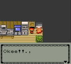 Pokemon Orb Version GBC Video Game Gameboy Color ROM Hack