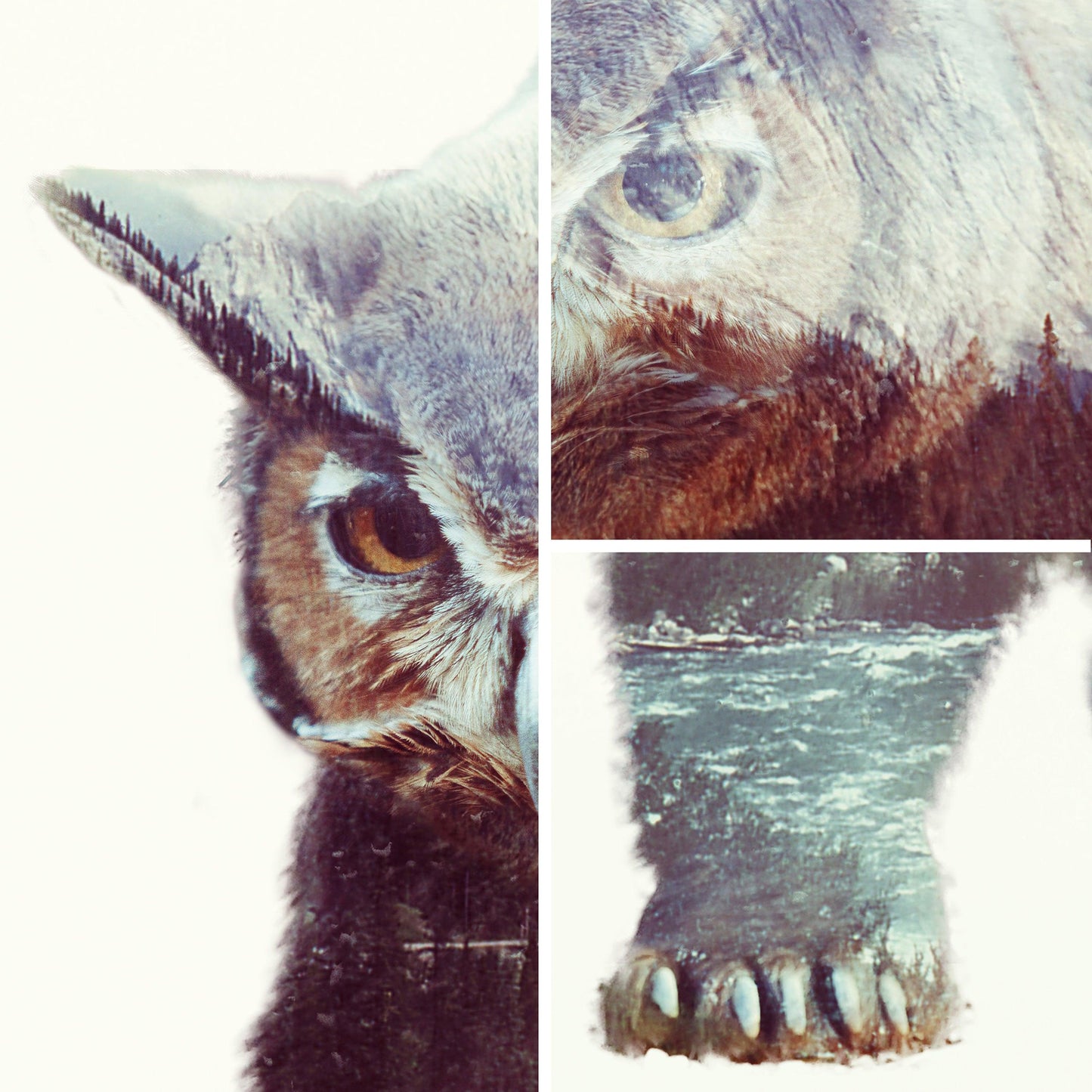 Owlbear Double Exposure D&D Canvas Artwork