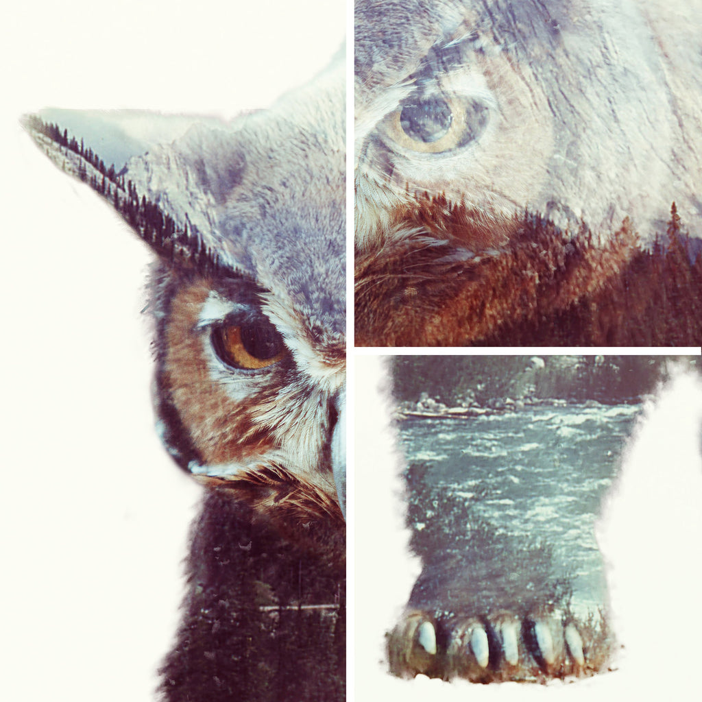Owlbear D&D Art Print