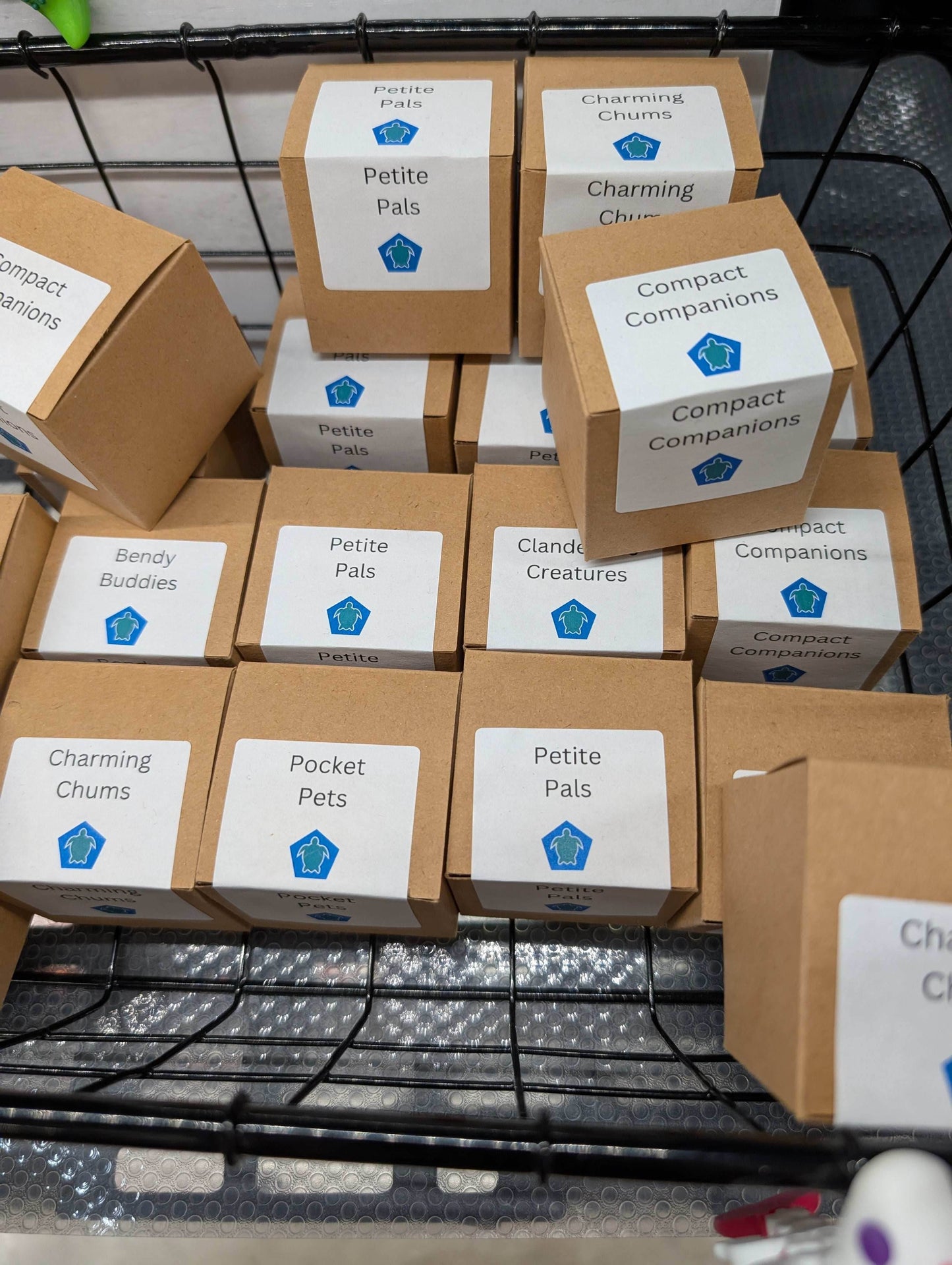 Mystery Companions - 