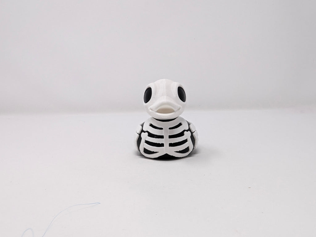 Skeleton Duck