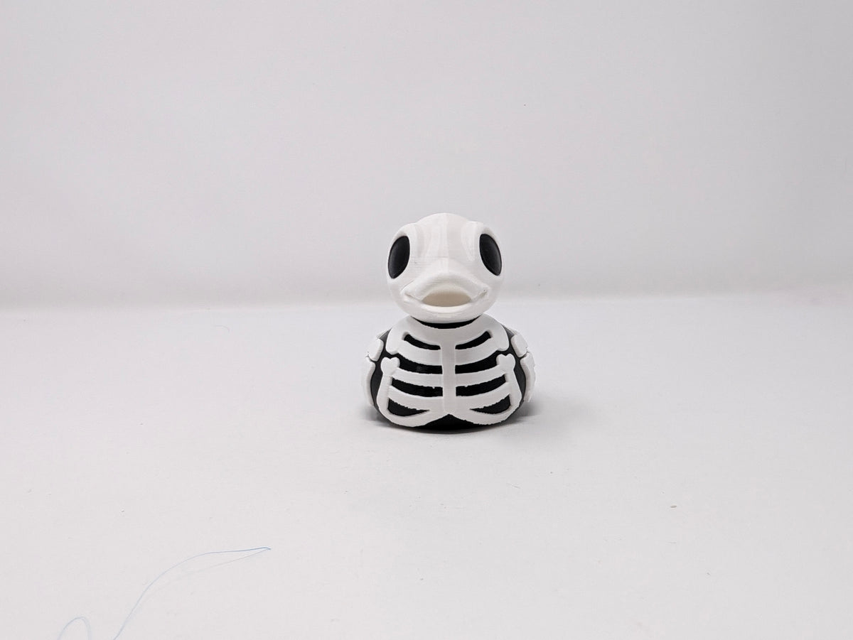 Skeleton Duck