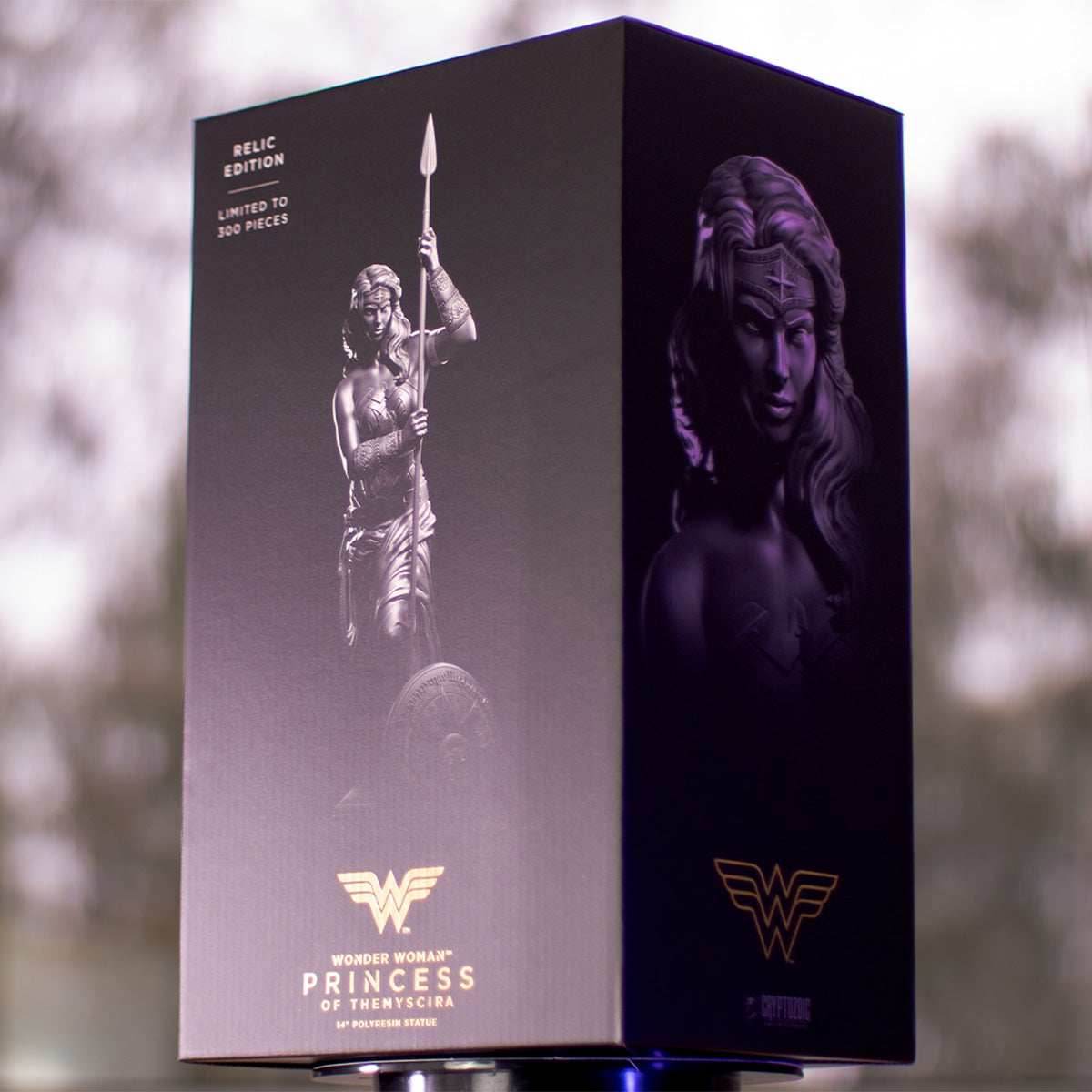 Wonder Woman: Princess of Themyscira Statue — Relic Edition - 