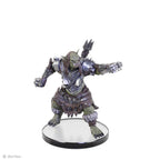 Pathfinder Battles: Fearsome Forces Booster - 