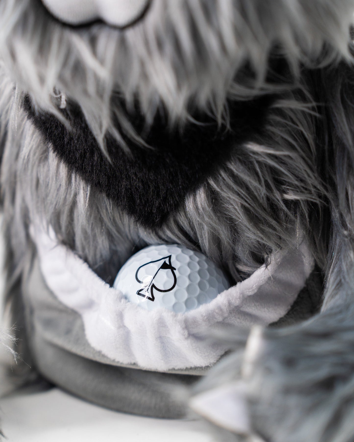 Koala - Driver Cover