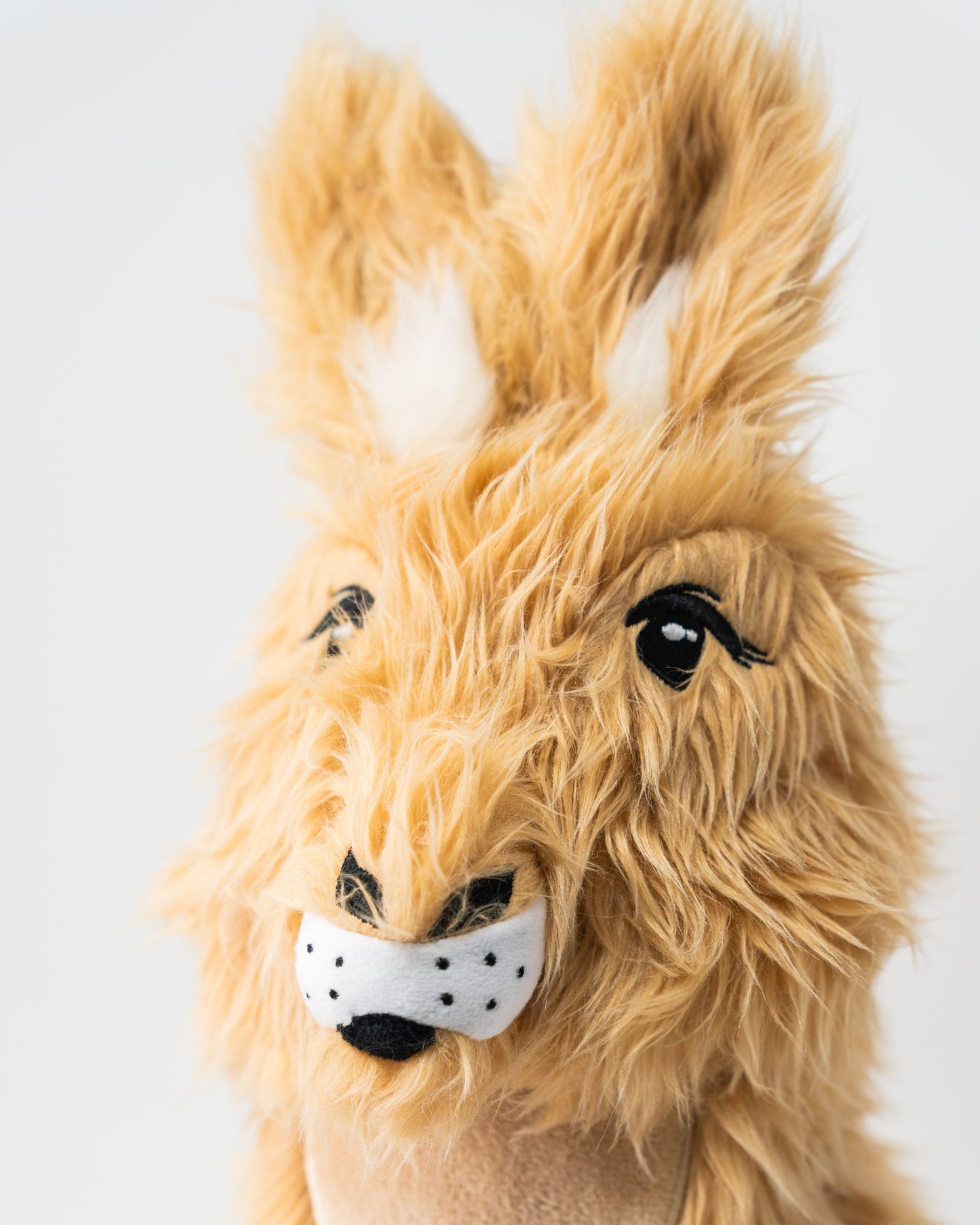 Kangaroo - Driver Cover