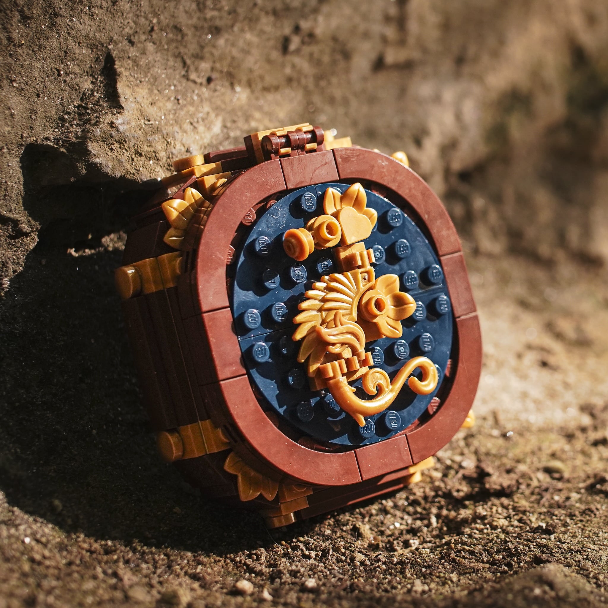 Life-Sized Pirate Compass