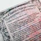 DM Vault for Planescape: Adventures in the Multiverse (D&D) - 