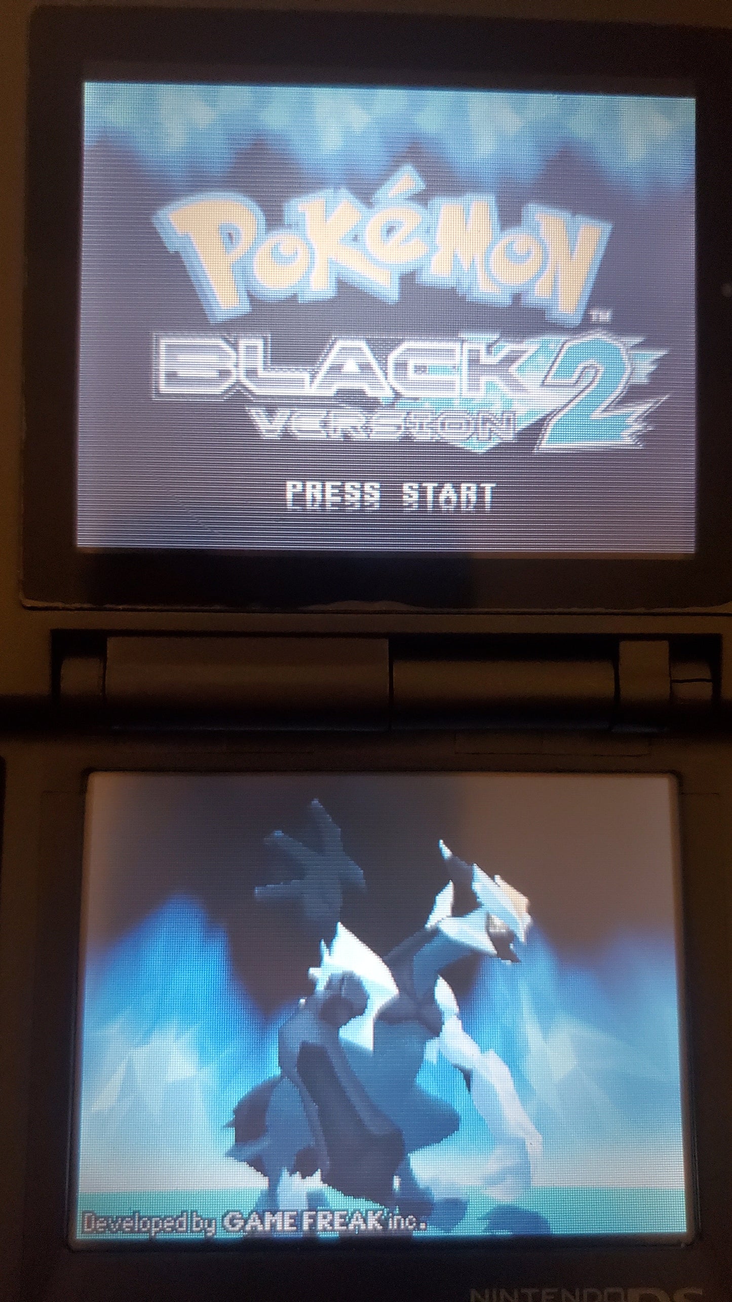 Pokemon Black Version 2 Nintendo DS NDS Video Game Cartridge