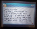 Pokemon Outlaw GBA ROM Hack Video Game Custom Gameboy Advance