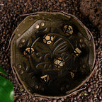 Polynesian Black Obsidian Stone Dice Set