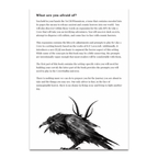 Be Like A Crow: Crowthulhu - 