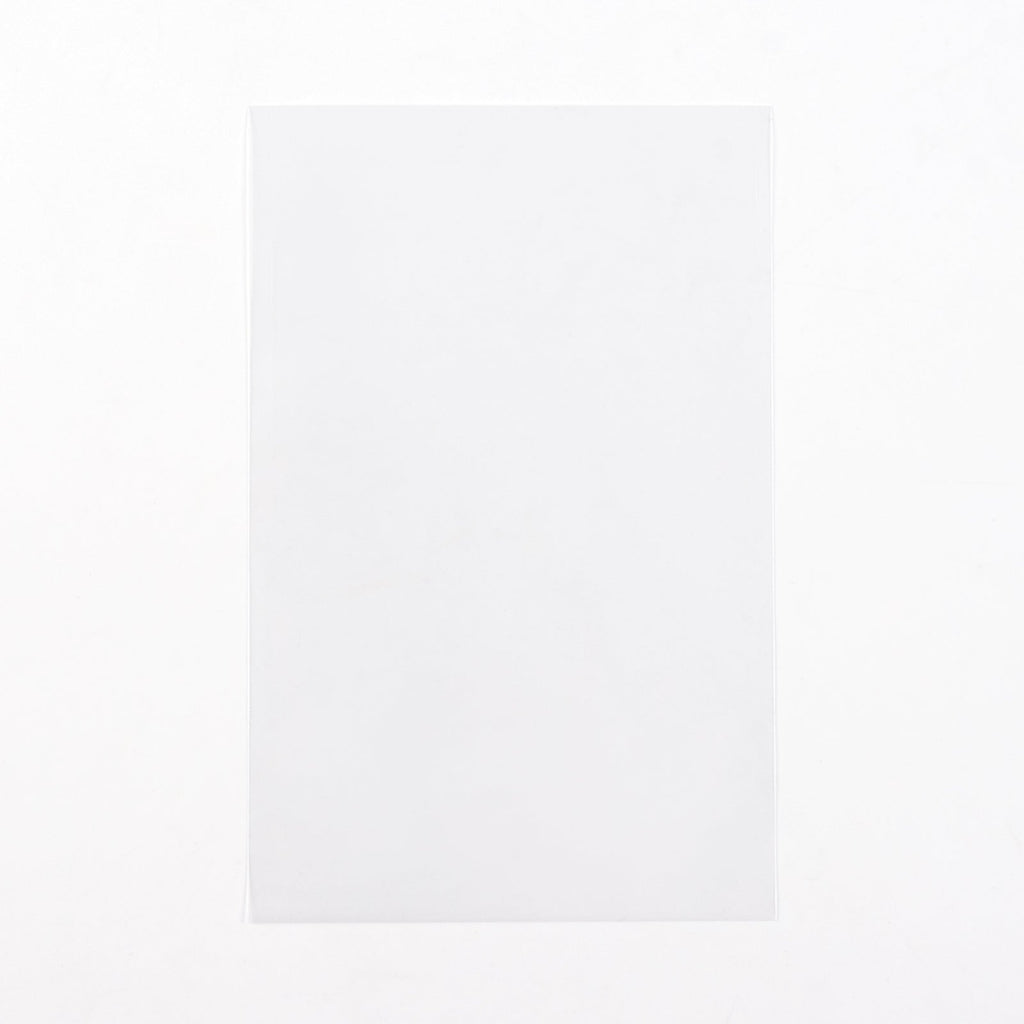 Postcard Sized Sleeves (100 count)