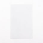 Postcard Sized Sleeves (100 count)