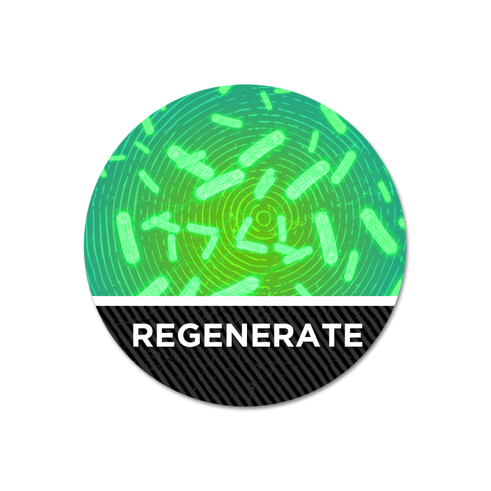 INFINITY N4 MAGNETIC MARKERS - Regenerate