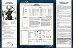 Age of Sigmar - Soulbound RPG: Starter Set - 